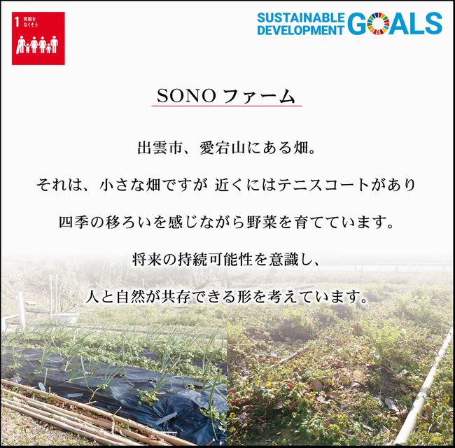 SDGs